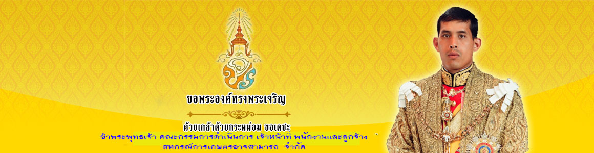 ภาพแสดงหน้าเว็บ1
