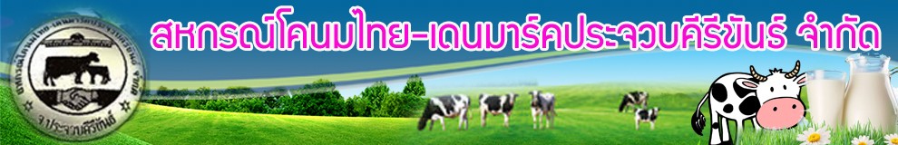 สหกรณ์โคนมไทย-เดนมาร์คประจวบคีรีขันธ์ จำกัด