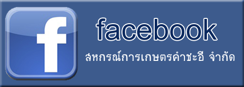 fb b