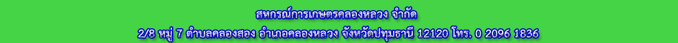 Endweb khlongluang