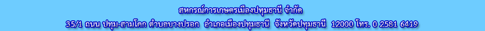Endweb mueangpathumthani1