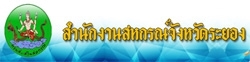 banner 190705 0001