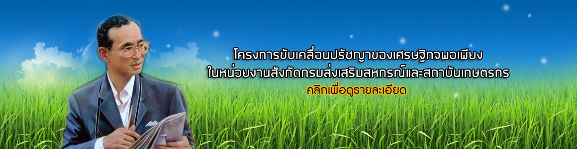 รูปบน 2