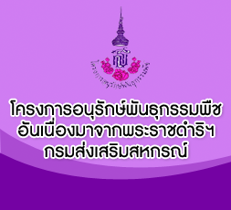 ไสลด์ล่าง