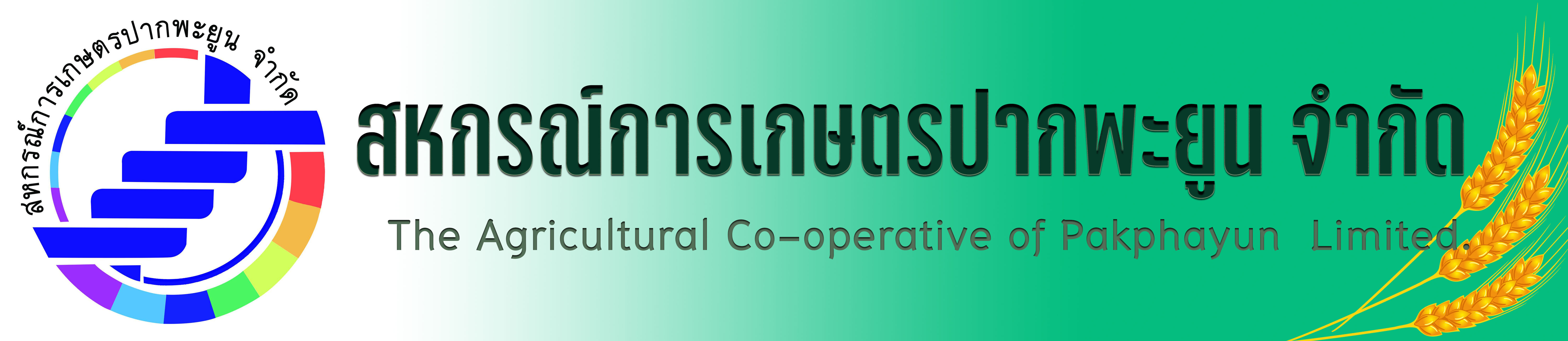 สกก.ปากพะยูน  จำกัด